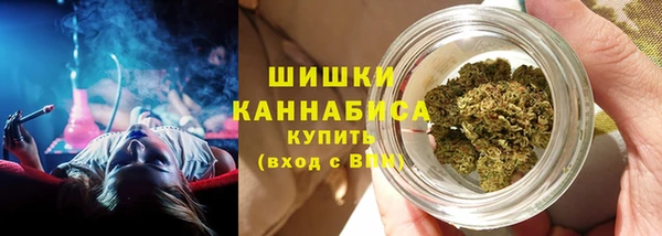 молекула духа Костерёво