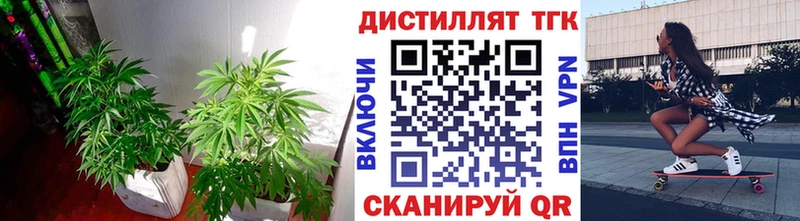 ТГК жижа  Купить где  Сясьстрой 